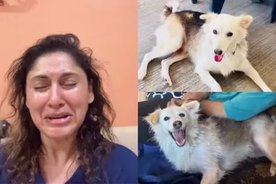 'He was brutally murdered': Actor Manjari Fadnnis inconsolable after community dog's alleged killing
