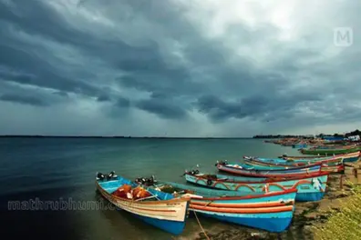 Kerala intensifies crackdown on illegal fishing during monsoon breeding season
