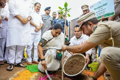 1,100 trees cut then ‘Namo Oxygen Parks’ launched: Why critics call it a government PR stunt?