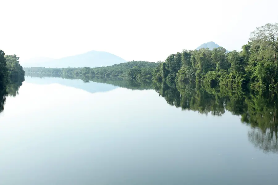 മാലിന്യരഹിതമായ ശുദ്ധവായു ലഭിക്കുന്ന ഇടം; കേരളത്തിലെ ശുദ്ധവായു സൂചികയിൽ തട്ടേക്കാട് ഒന്നാമത്