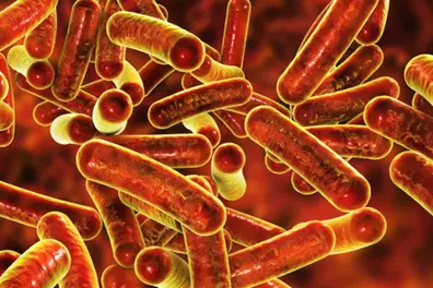Wayanad Shigella outbreak: Another child tests positive as second wave looms