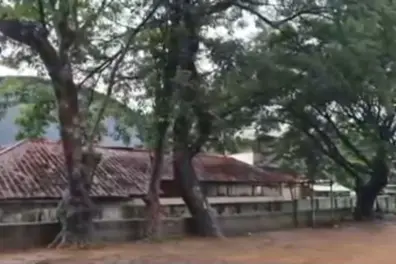 Monsoon threat: Massive tree near Adimali school sparks concern
