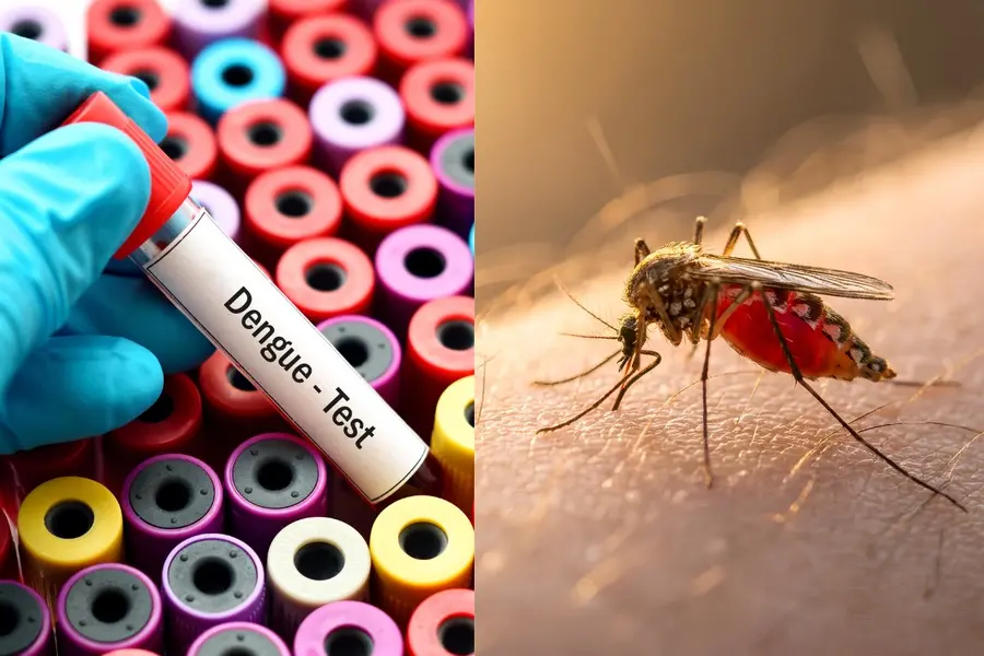 Dengue is no longer a monsoon disease: why are cases coming earlier every year?
