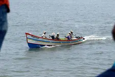 മത്സ്യങ്ങളുടെ 'മുട്ടയിടൽ' കാലം ചെറുമീനുകളെ പിടിച്ചാൽ ആറുമാസം തടവ്