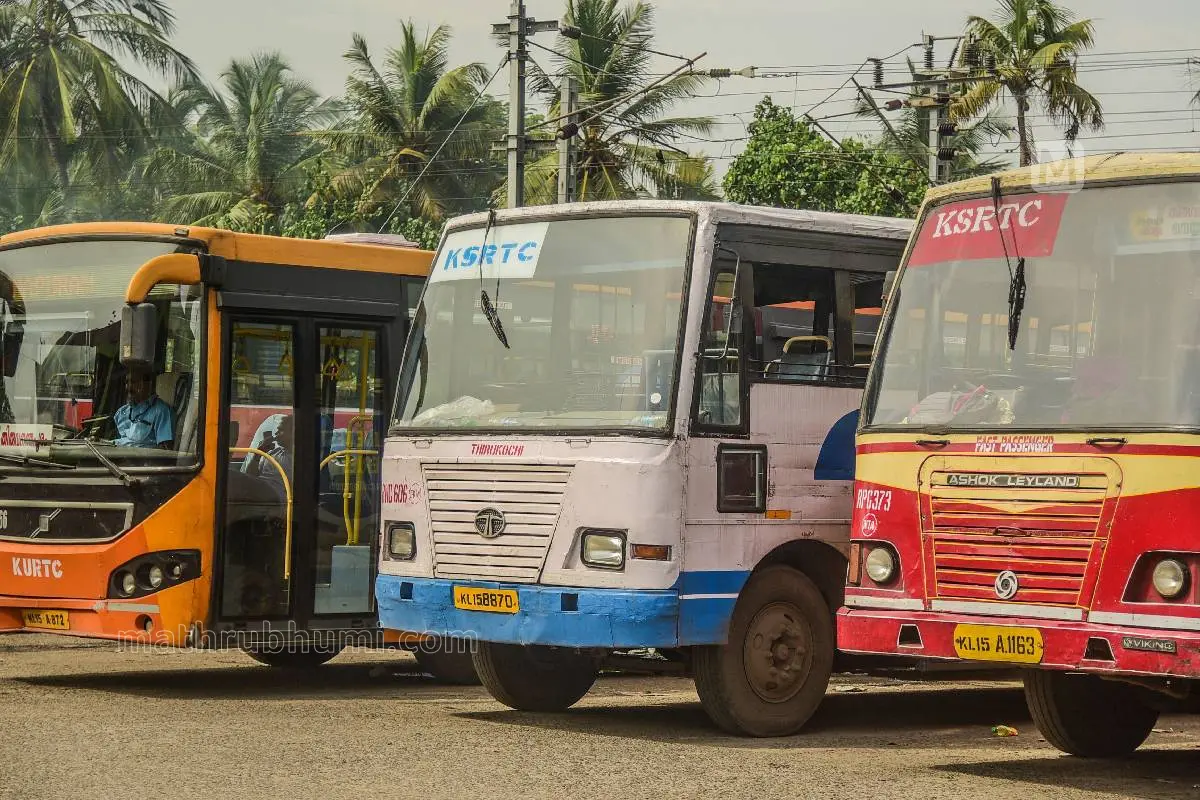 Representation image | Mathrubhumi