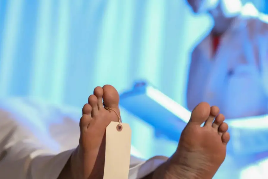 autopsy