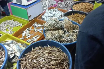 Dry fish demand surges in Tamil Nadu as fishing ban boosts Karuvadu sales