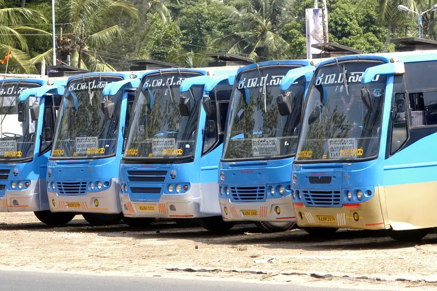 bus