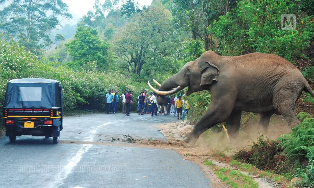 പ്രതീകാത്മക ചിത്രം | ഫോട്ടോ: മാതൃഭൂമി