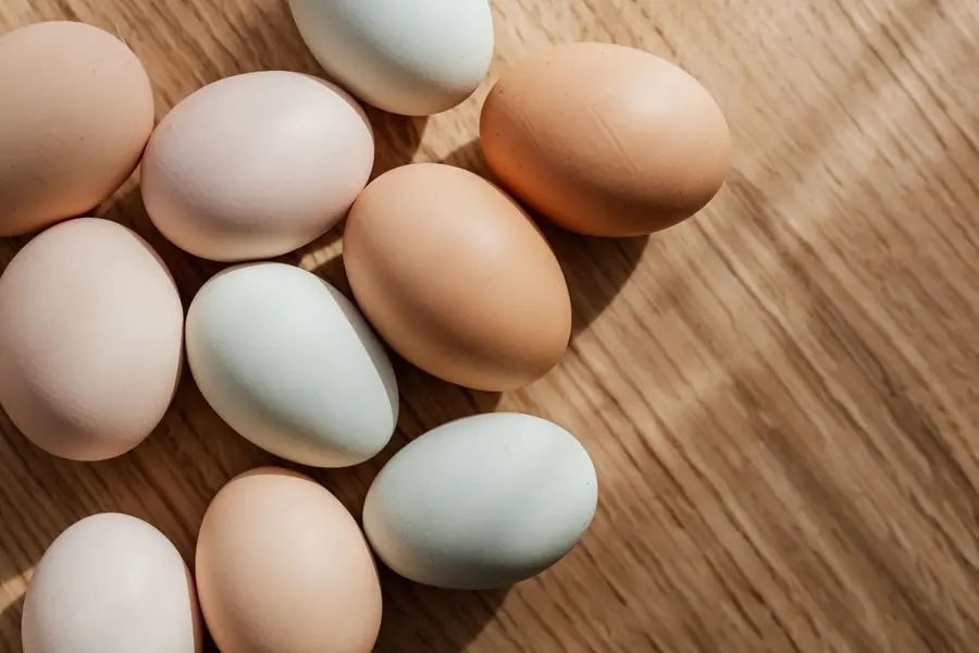 Egg