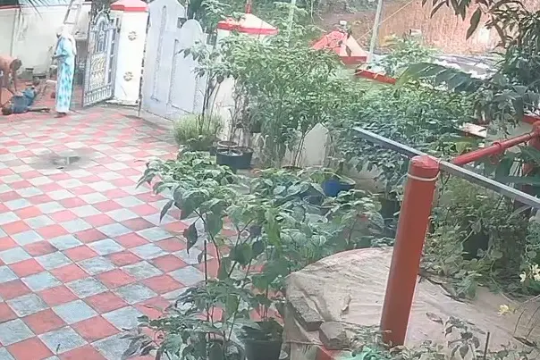 തേങ്ങയിടുന്നതിനിടെ ഇരുമ്പ് തോട്ടി വൈദ്യുതി ലൈനിൽ തട്ടി; പനവൂരിൽ 61-കാരന് ദാരുണാന്ത്യം