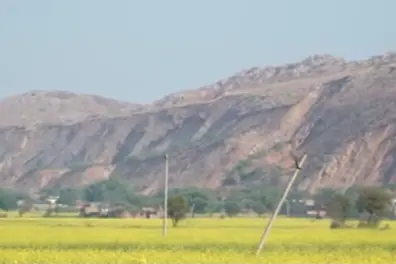 Aravalli Green Wall project: India’s ambitious climate mission faces long road ahead