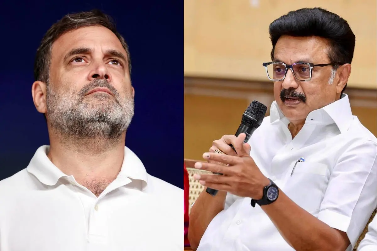 രാഹുൽ ഗാന്ധി, എം.കെ. സ്റ്റാലിൻ | ഫോട്ടോ - എ.എൻ.ഐ.