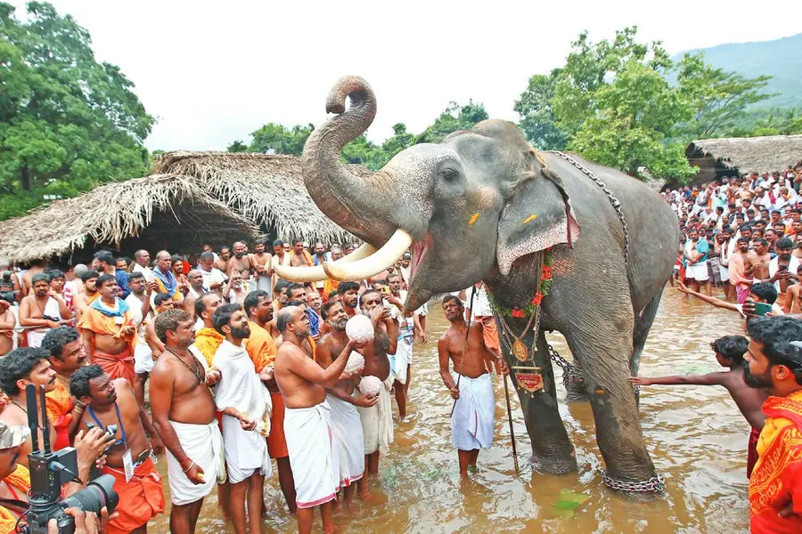 വൈശാഖോത്സവത്തിന് കർണാടകത്തിൽനിന്ന് തീർഥാടക പ്രവാഹം; കൊട്ടിയൂരിൽ വികസിക്കുന്നത് വമ്പൻ ടൂറിസം സാധ്യതകൾ