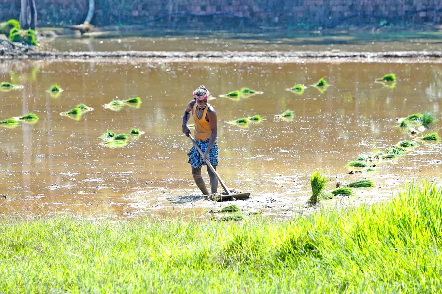 കൃഷിഭൂമിയിൽനിന്ന് ഇറക്കിവിടില്ല