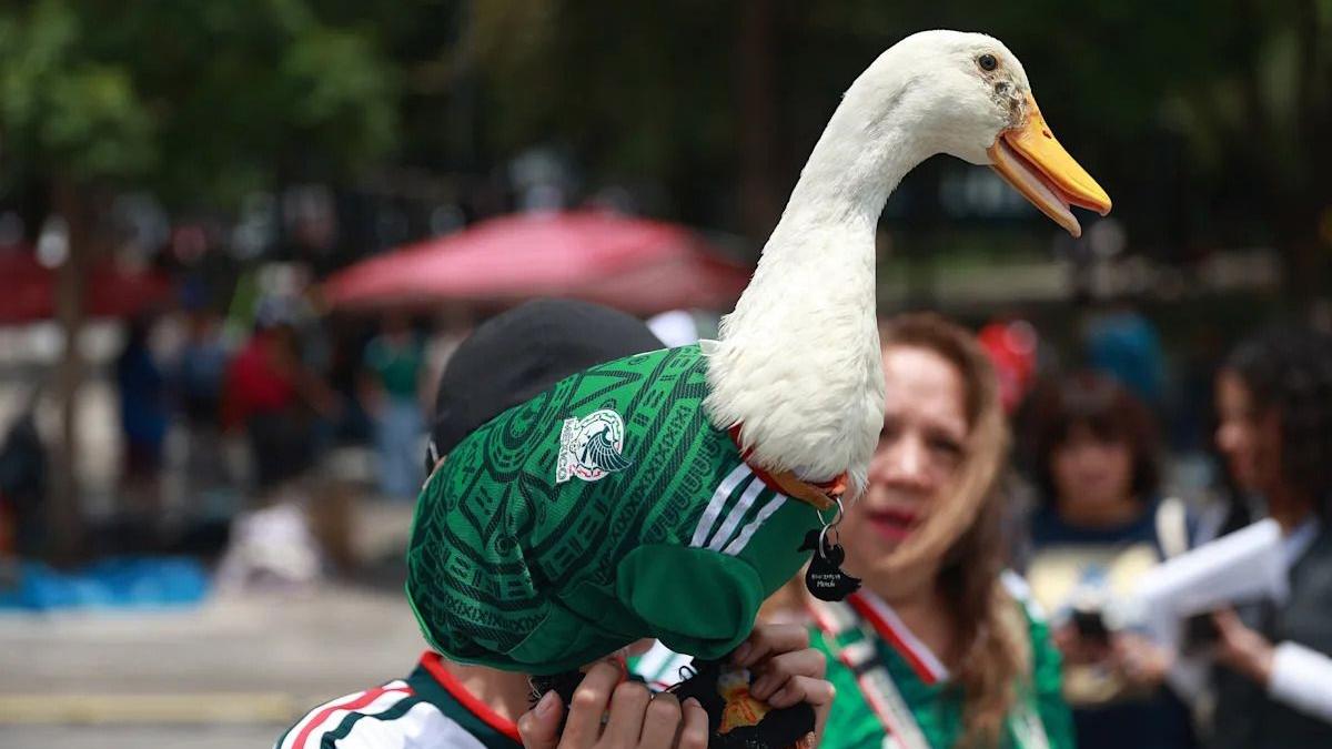 Who is Merlin? The viral football fan taking over Mexico's World Cup