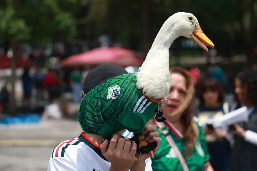 Who is Merlin? The viral football fan taking over Mexico's World Cup