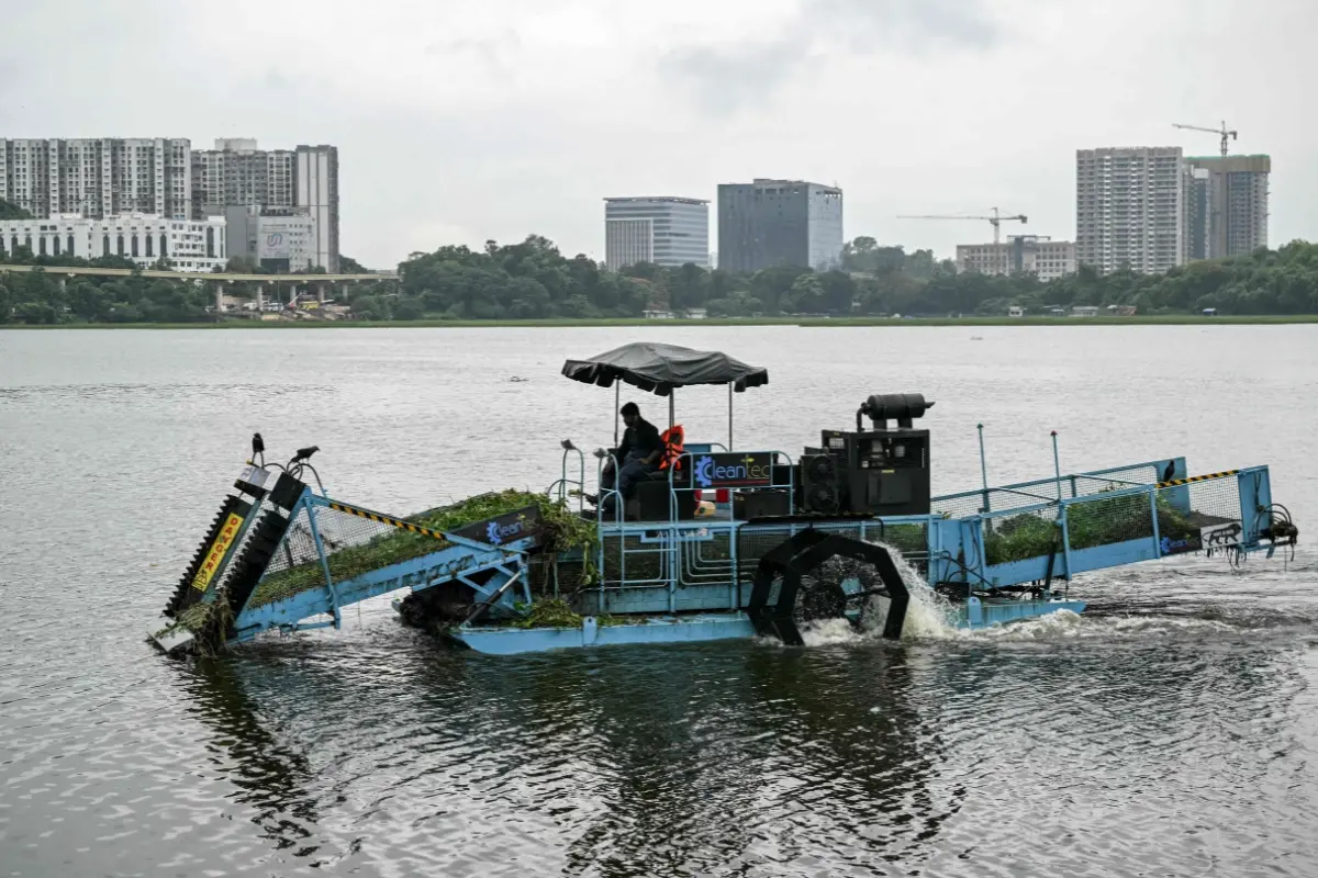 An aquatic weed harvester navigates through Powai Lake after removing water hyacinth amid concerns of floating vegetation affecting water quality and marine ecosystems, in Mumbai.| File iamge: AFP