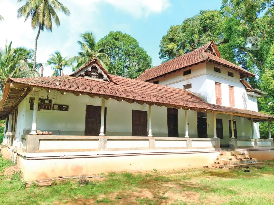 പനമന | Photo: Mathrubhumi