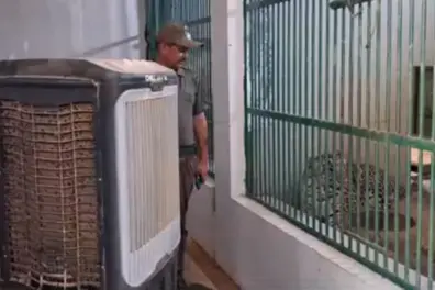 Jambu Zoo steps up summer care with coolers, sprinklers and hydrating diets for animals