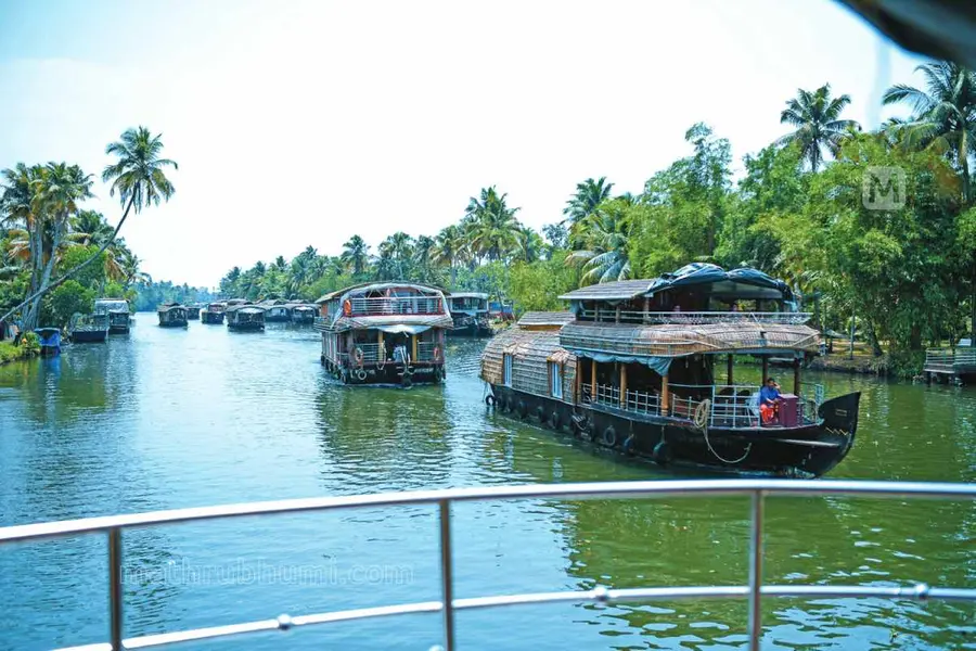 Kuttanad Safari