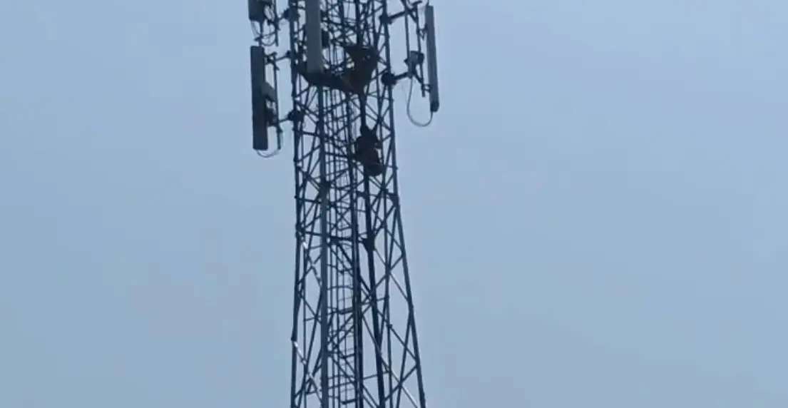 Screengrab of a video showing girl atop mobile tower