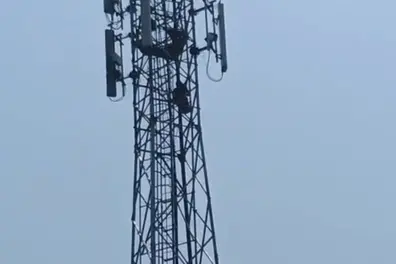 17-year-old girl scales mobile tower, threatens to jump unless boyfriend is freed