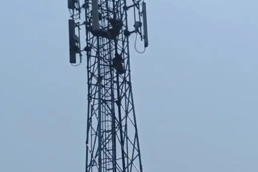 Screengrab of a video showing girl atop mobile tower