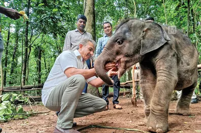 From Delulu to Maya; Union Minister names rescued elephant calf at Kodanad Sanctuary
