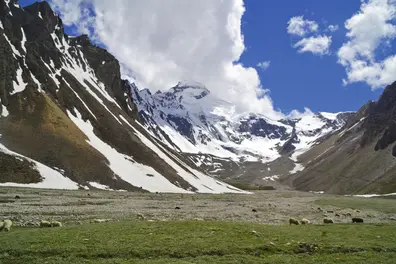 Can India predict earthquakes? Here's what its warning system actually does
