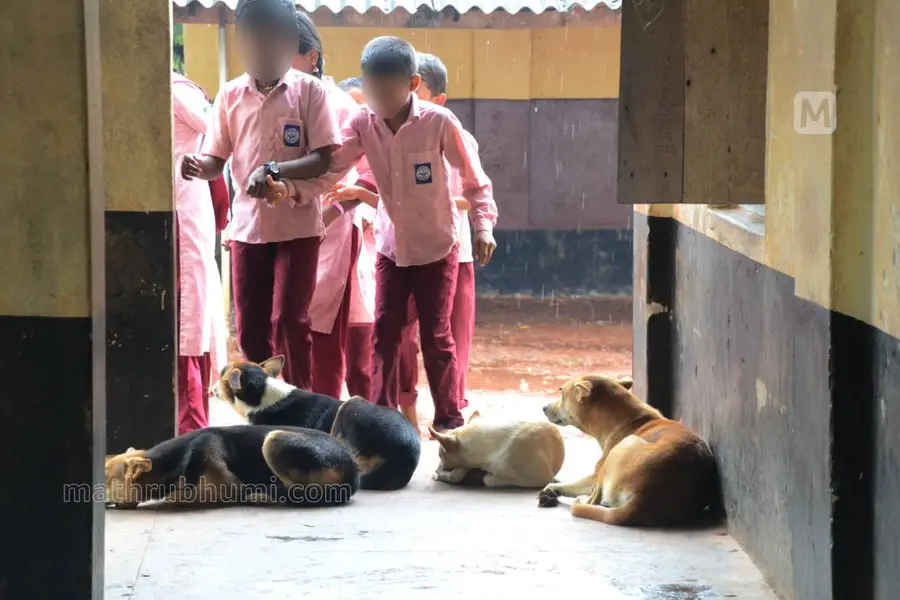 Eyebrows raised as Kerala govt appoints teachers to tackle stray dog menace in schools