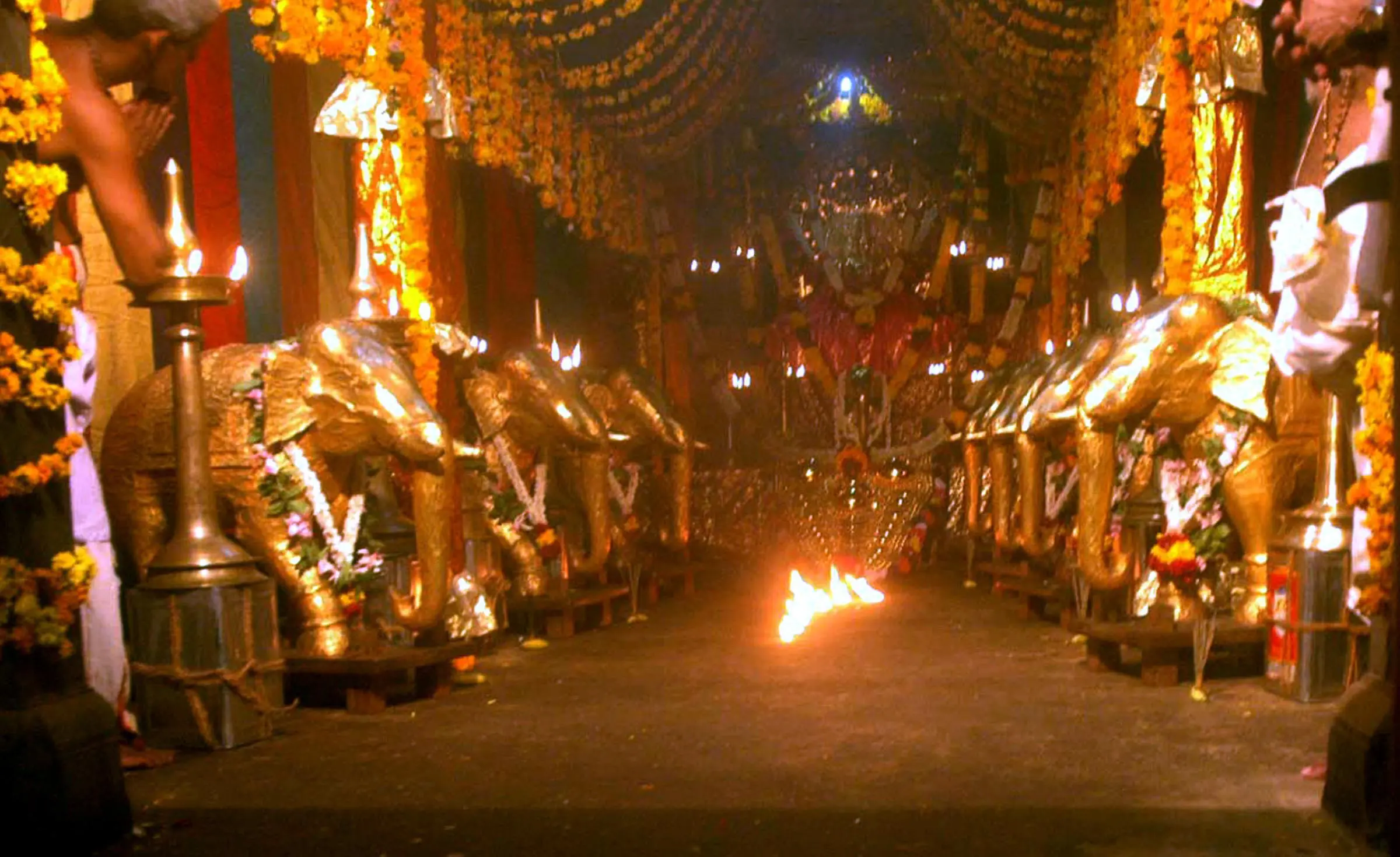 ഏറ്റുമാനൂർ മഹാദേവ ക്ഷേത്രത്തിലെ 'ഏഴരപ്പൊന്നാന' | Photo: Babu Lukose/Mathrubhumi