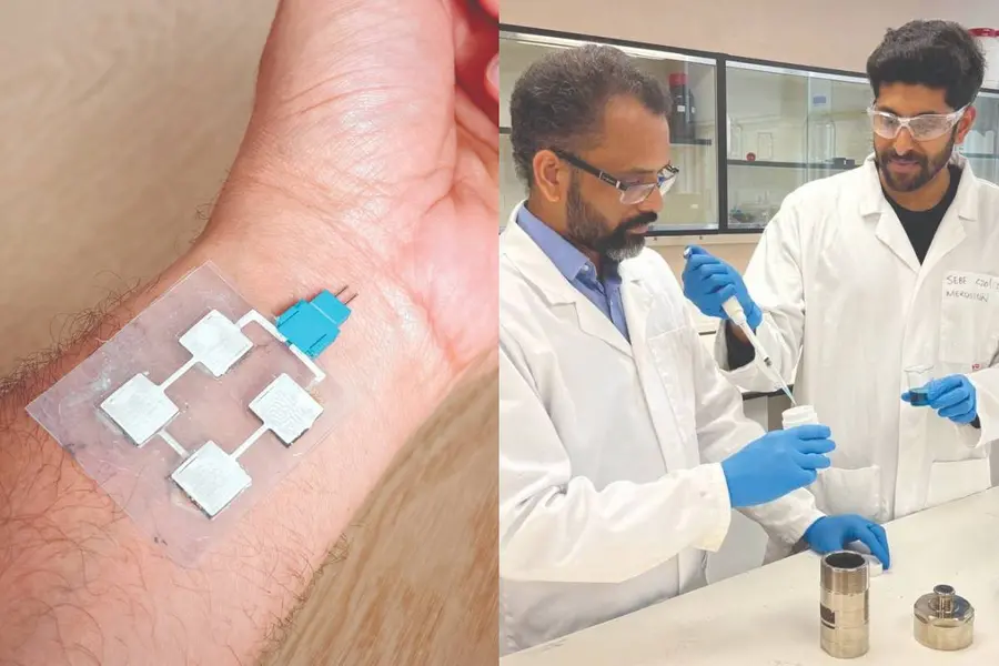 Nano-Flower Battery
