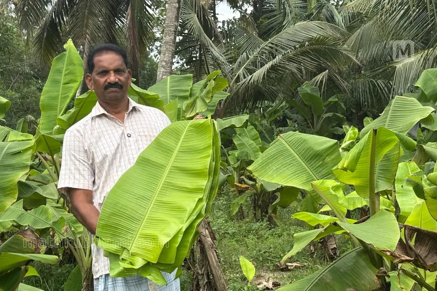 chacko