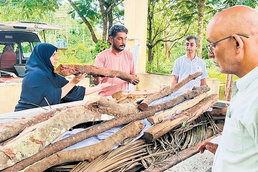 Kerala.jpg