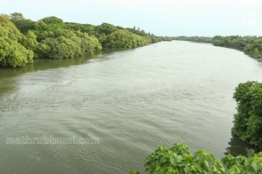 മൂവാറ്റുപുഴയാറിൽ ഒരു മൃതദേഹംകൂടി കണ്ടെത്തി;സ്ത്രീയുടെയും കുഞ്ഞിന്റെയും മരണം കൂട്ടആത്മഹത്യയെന്ന് സൂചന