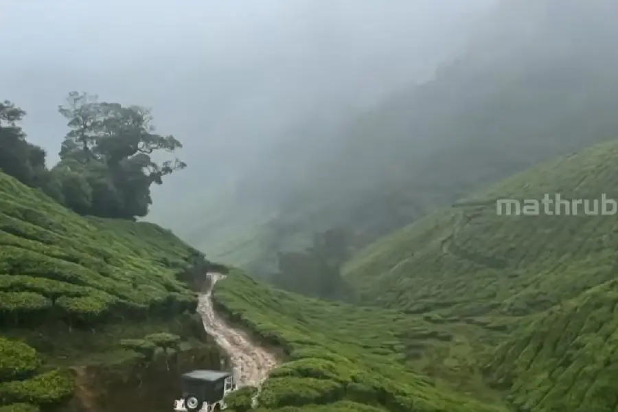 ചിന്നക്കനാലിൽ ഹാരിസൺ മലയാളം കമ്പനി കൈവശം വെച്ചിരുന്ന സർക്കാർ ഭൂമി ഏറ്റെടുത്ത് വനംവകുപ്പ്