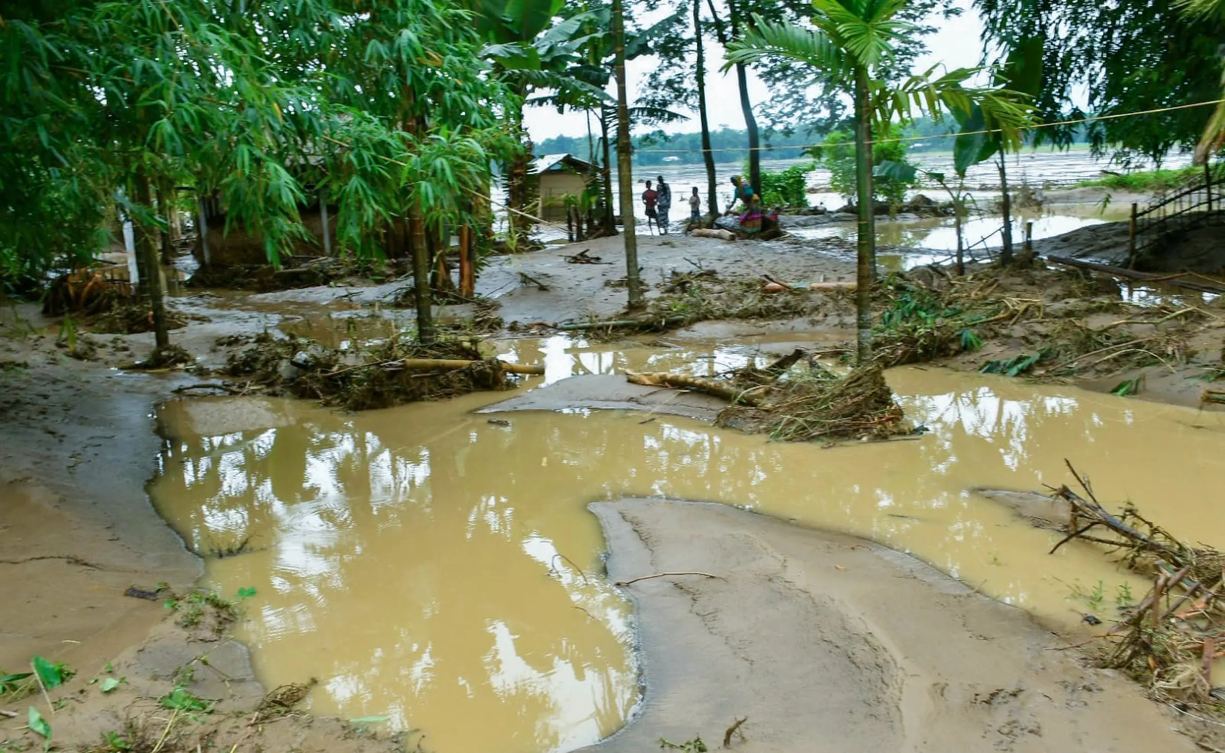 A view of a flood-affected area, in Dhemaji.| Photo: ANI