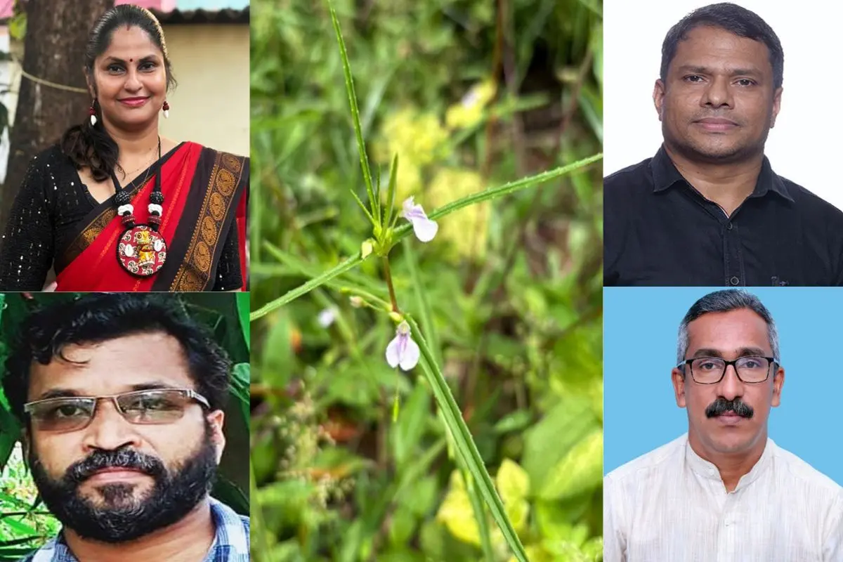 Dr Arya S, Dr Salvy Thomas, Dr Manuel Thomas and Dr Rogimon P Thomas (Clockwise); Impatiens ninanii (centre)