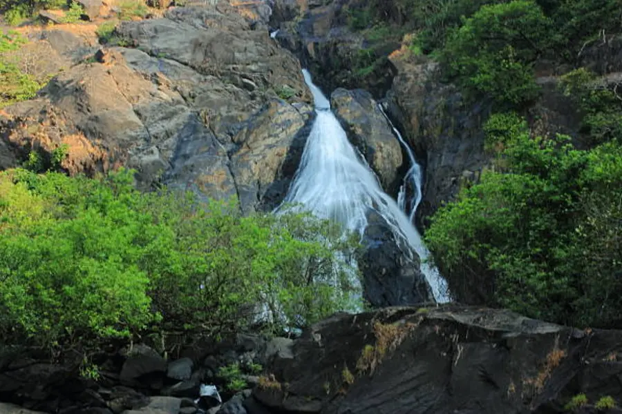Goa imposes 60-day ban on swimming at waterfalls: Everything tourists must know