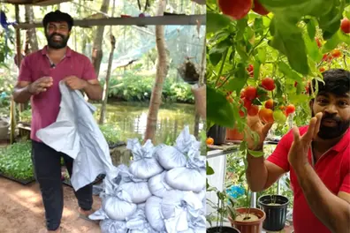 A bundle of harvest: Kerala man's 'Kizhi' farming experiment bears fruit