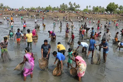 Hundreds of villagers gather at TN's Karaikudi for a unique centuries-old fishing tradition