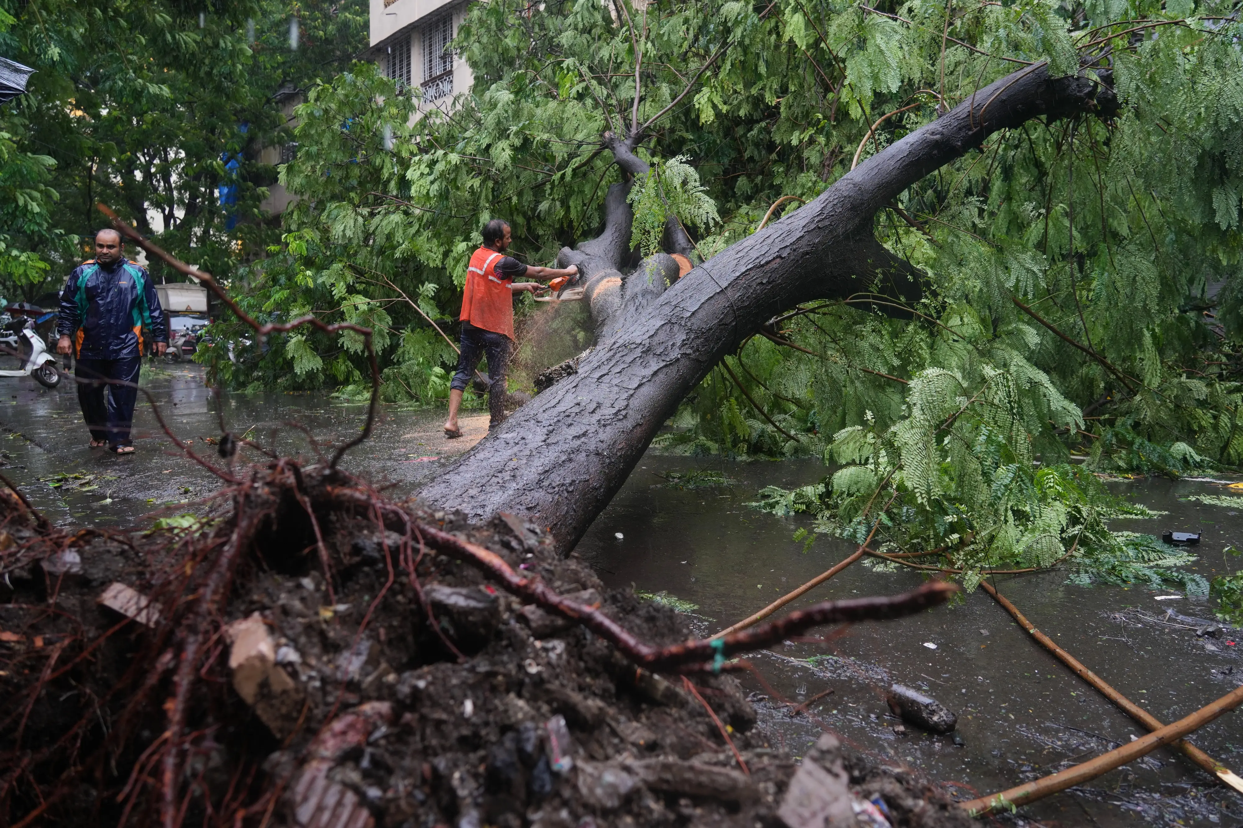 A worker clear a tree after it fell on a street during monsoon rains in Mumbai on July 5, 2026 | Photo: AP