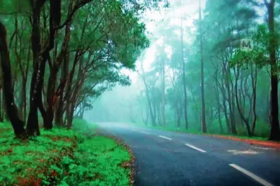 KSRTC to increase services to Ponmudi amid heavy tourist rush and overcrowding in bus