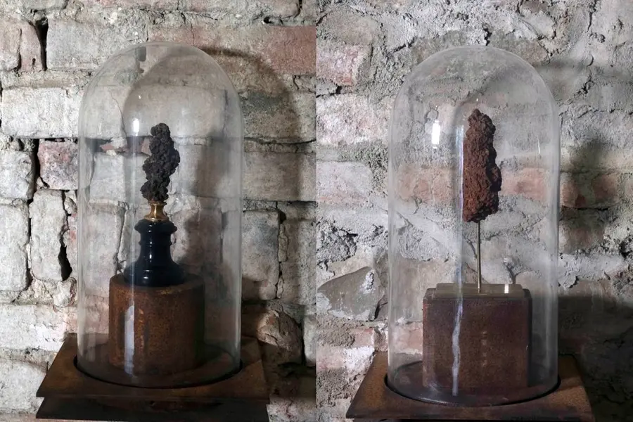 ദിനോസർ മുതൽ മഞ്ഞുമനുഷ്യൻ വരെ; ചരിത്രം മാറ്റിയെഴുതിയ 'മലംപുരാണം'