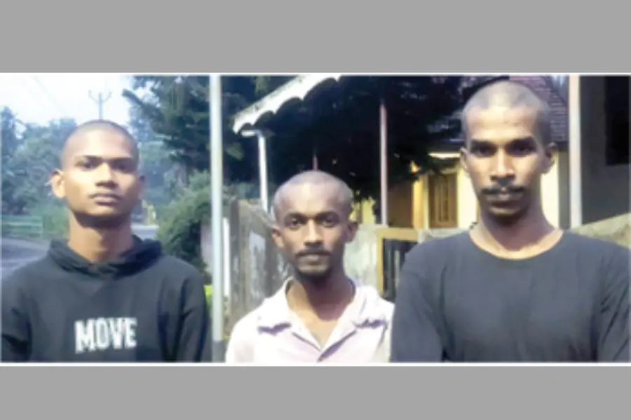 Gokul, Alby, Alfaz