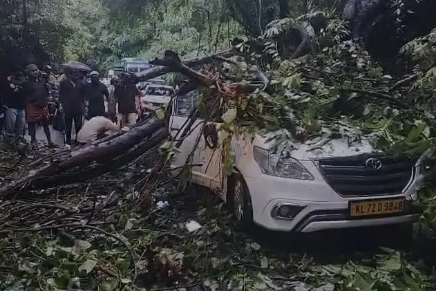താമരശ്ശേരി ചുരത്തിൽ കാറിന് മുകളിലേക്ക് മരം വീണു; കുട്ടിയ്ക്കുൾപ്പെടെ പരിക്ക്, വൻ ഗതാഗതക്കുരുക്ക്