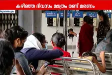 ഡെങ്കിപ്പനിയും എലിപ്പനിയും വ്യാപകം; എലിപ്പനി ബാധിച്ച് ഇതുവരെ മരിച്ചത് 41 പേര്‍