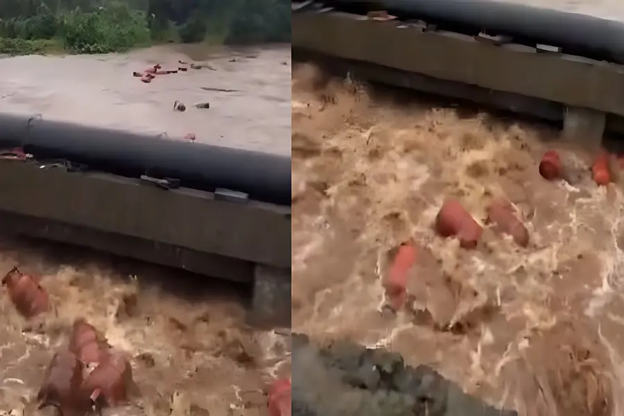 കനത്തമഴ; കുത്തിയൊലിക്കുന്ന പുഴയിൽ മുങ്ങിപ്പൊങ്ങി മൂവായിരത്തോളം LPG സിലിണ്ടറുകൾ, ദൃശ്യങ്ങൾ വൈറൽ
