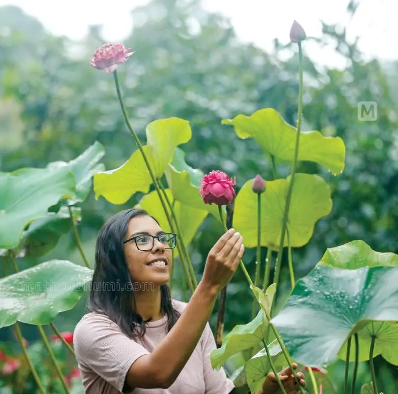 മെലാനി താമരക്കൃഷിയിടത്തില്‍ | Photo: Mathrubhumi